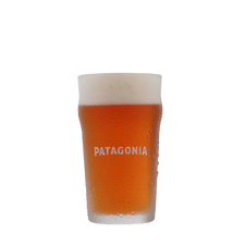 Vaso Patagonia Nonic 500ml