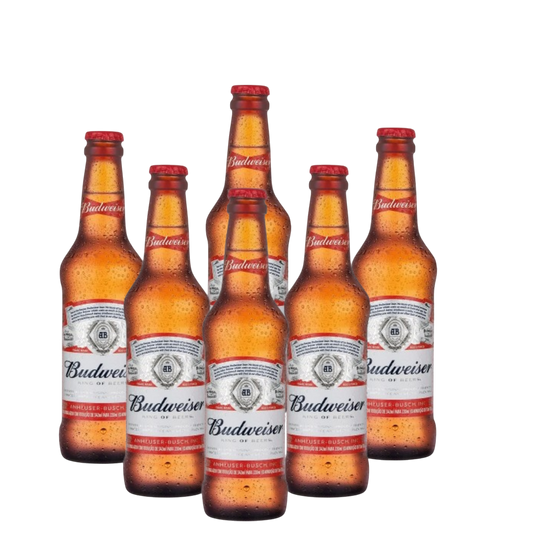 lleva 6 paga 4 Budweiser 330 LN